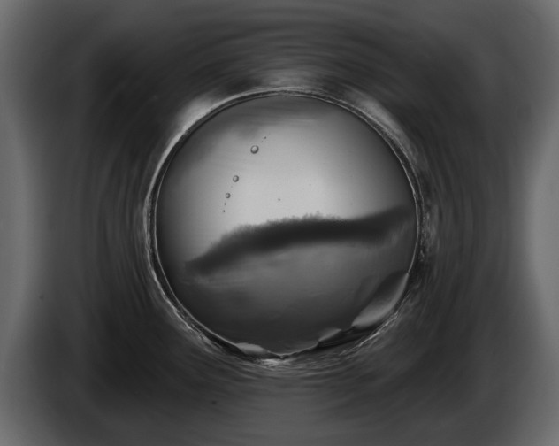 X0000085771291200703231215