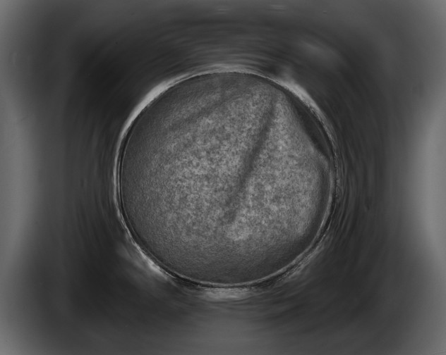 X0000085771294200703231215