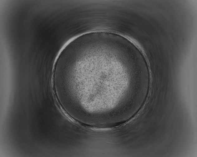 X0000085771296200703231215