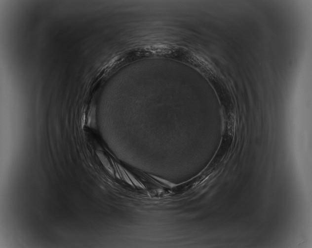 X0000085771298200703231214