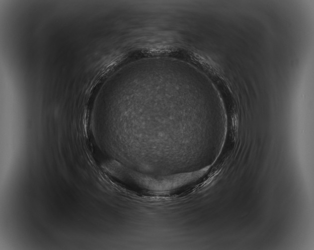 X0000085771300200703231214