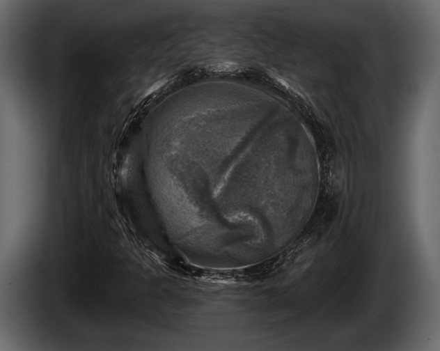 X0000085771301200703231214