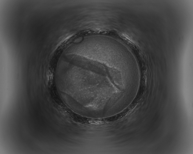 X0000085771302200703231214