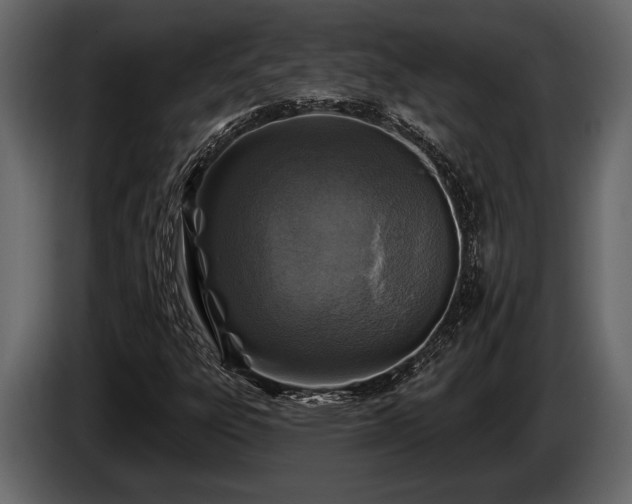 X0000085771303200703231214