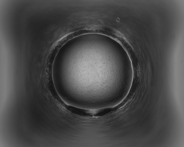 X0000085771304200703231214