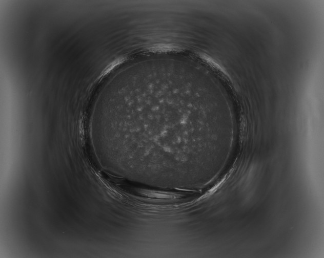 X0000085771305200703231214