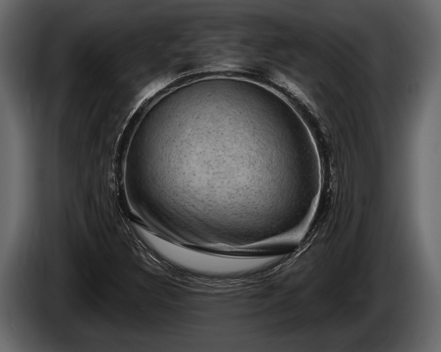 X0000085771308200703231214