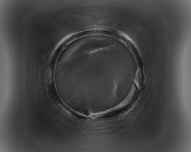 X0000085771310200703231214