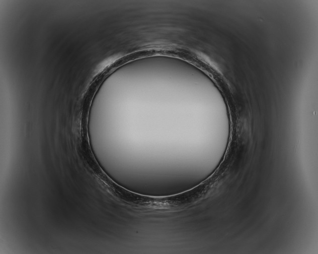 X0000085771315200703231215