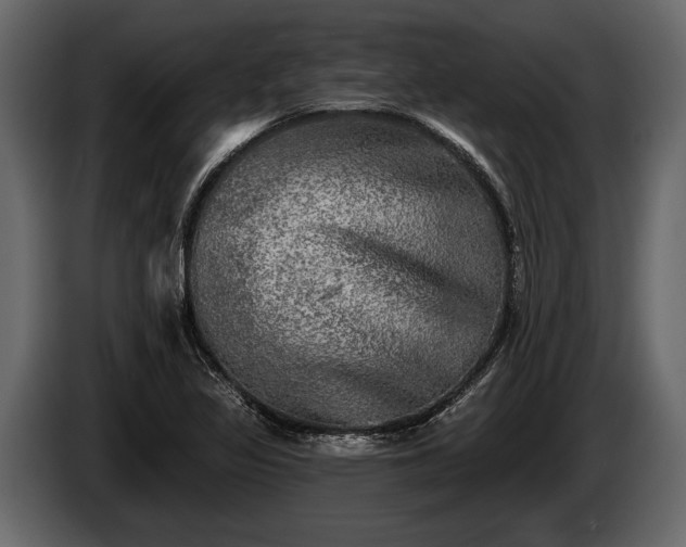 X0000085771317200703231215