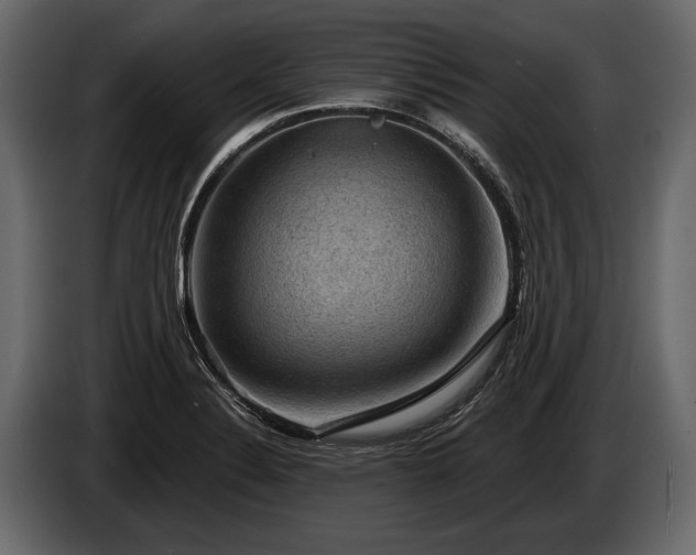 X0000085771324200703231215