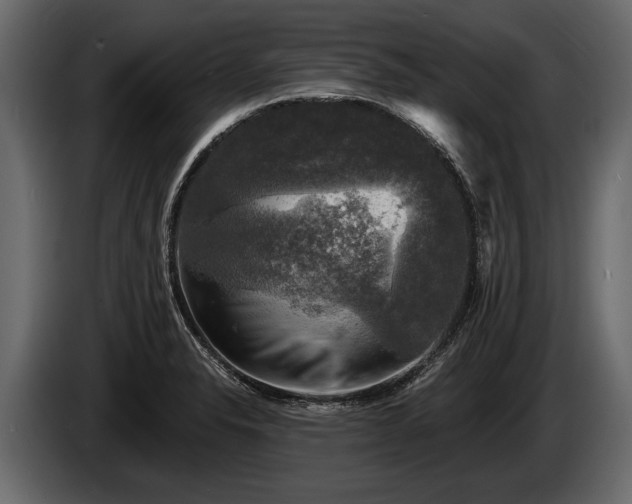 X0000085771326200703231215