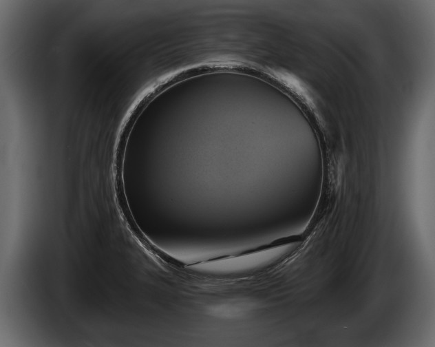 X0000085771327200703231215