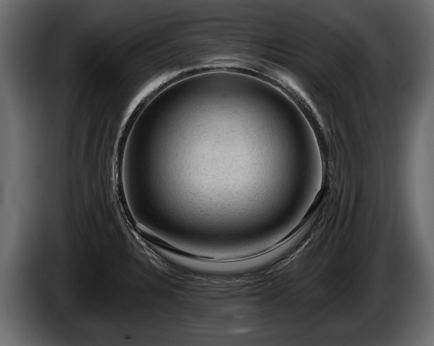 X0000085771328200703231215