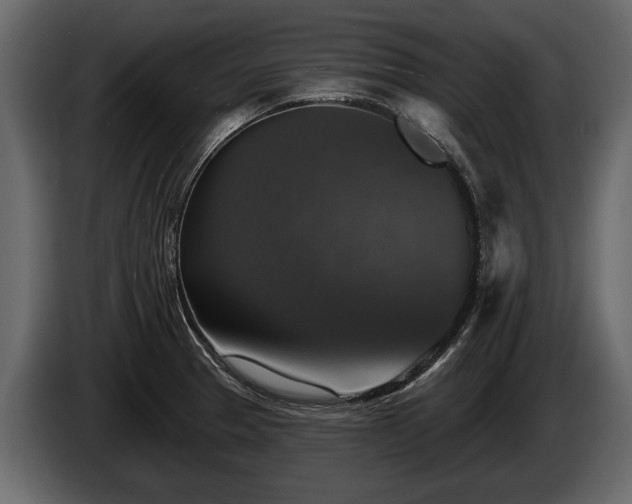 X0000085771329200703231215