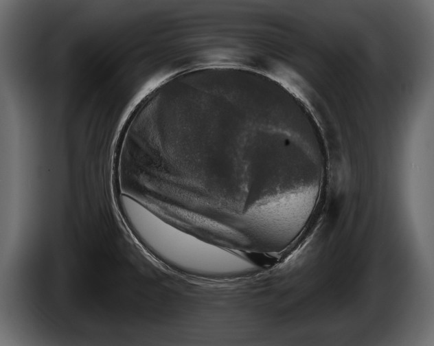 X0000085771333200703231215