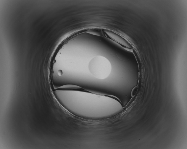 X0000085771334200703231215