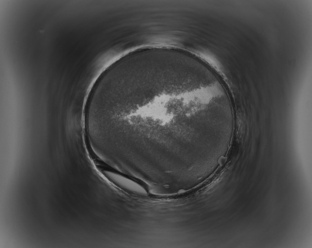 X0000085771335200703231215