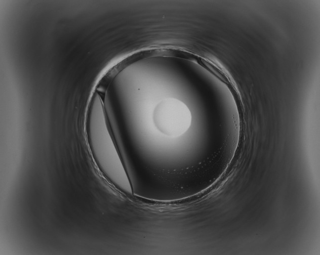 X0000085771336200703231215