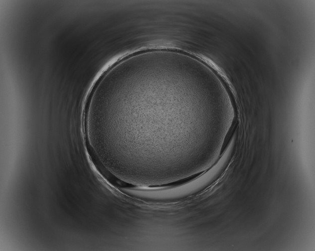 X0000085771342200703231215