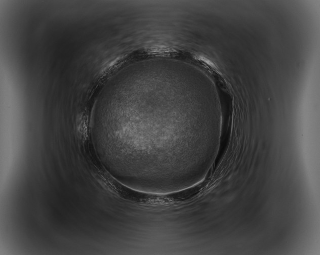 X0000085771348200703231214