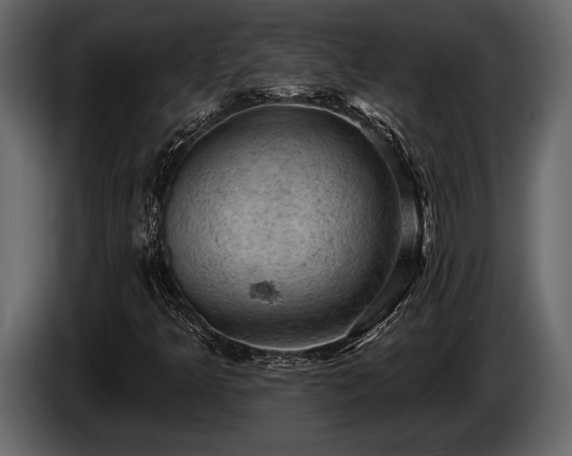 X0000085771349200703231214