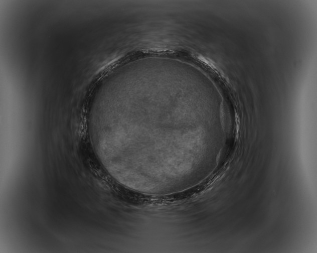 X0000085771350200703231214