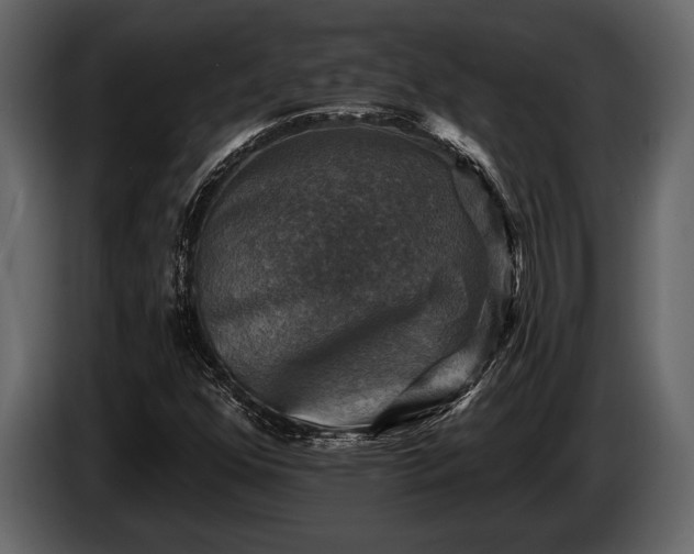 X0000085771352200703231214