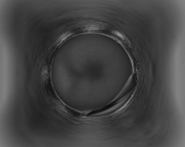 X0000085771353200703231214