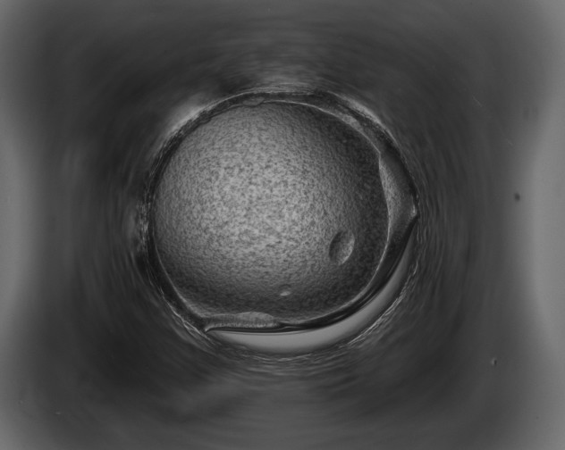 X0000085771355200703231214