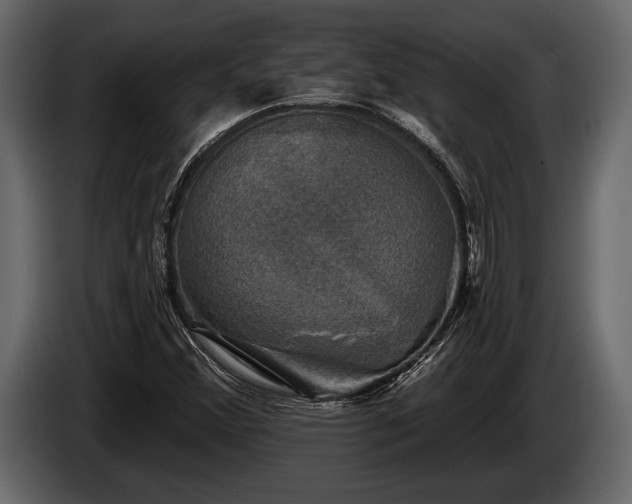 X0000085771356200703231214