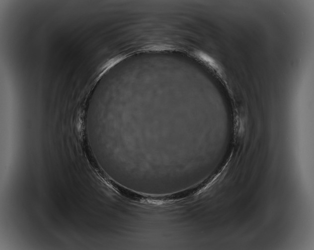 X0000085771361200703231214