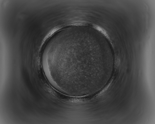 X0000085771362200703231214