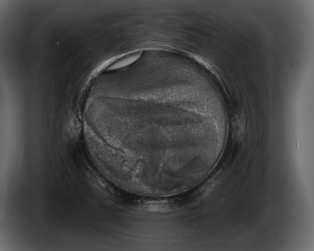 X0000085771363200703231214