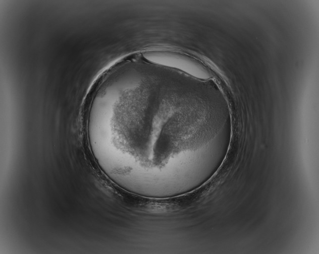 X0000085771364200703231214