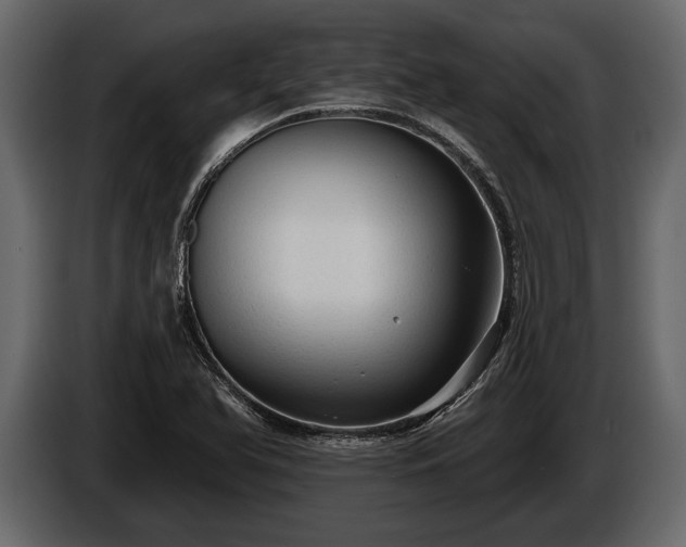 X0000085771366200703231214