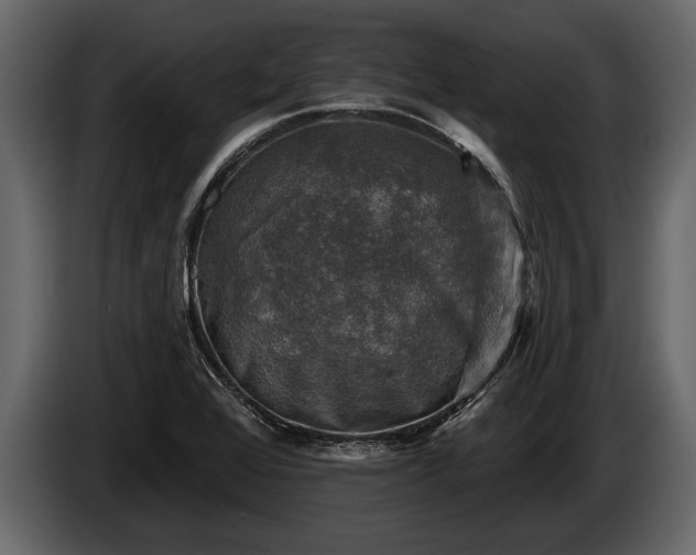 X0000085771368200703231214