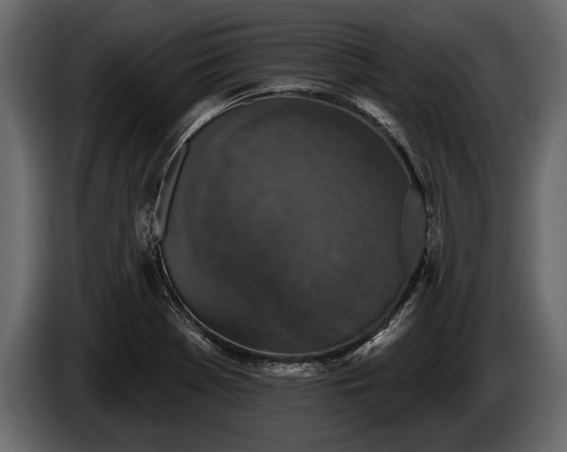 X0000085771369200703231214