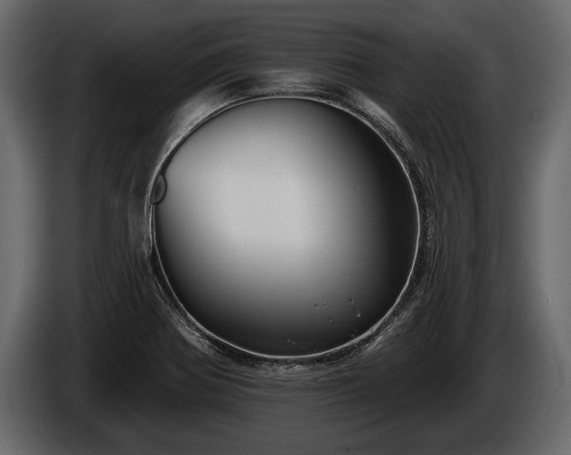 X0000085771370200703231214