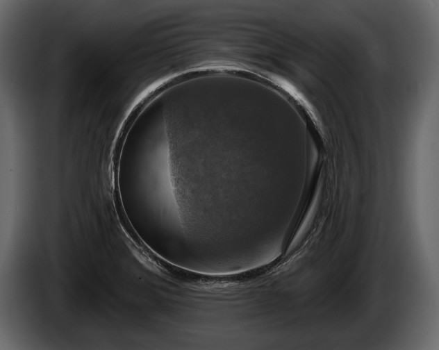 X0000085771372200703231214