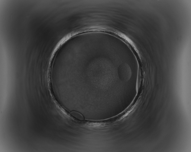 X0000085771373200703231214