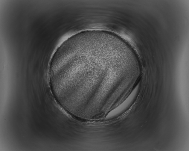 X0000085771374200703231214