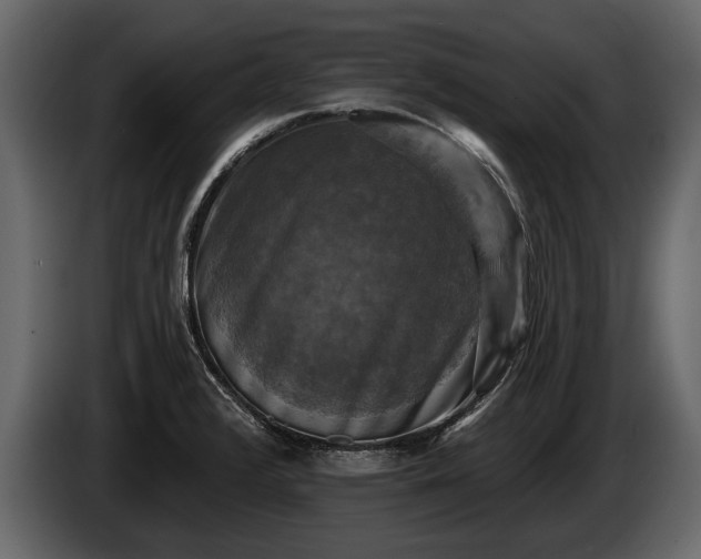 X0000085771376200703231214