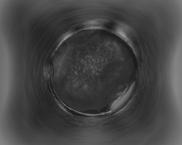 X0000085771377200703231214