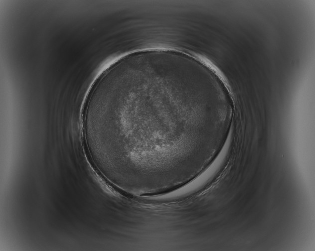 X0000085771380200703231214