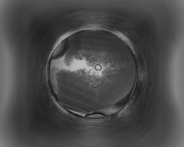 X0000085771382200703231214