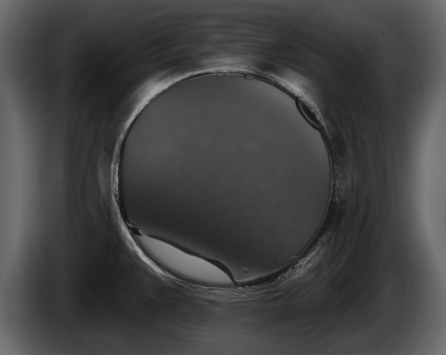 X0000085771383200703231214