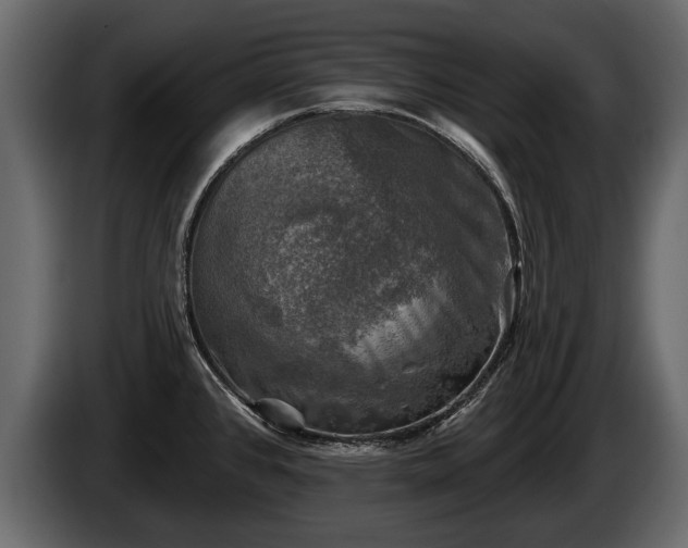 X0000085771384200703231214