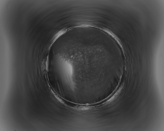 X0000085771385200703231214