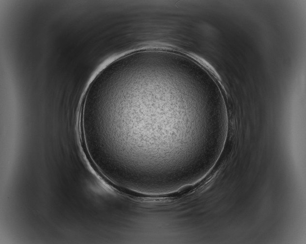 X0000085771391200703231214